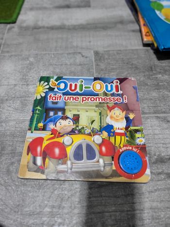 Livre ouioui fait une promesse