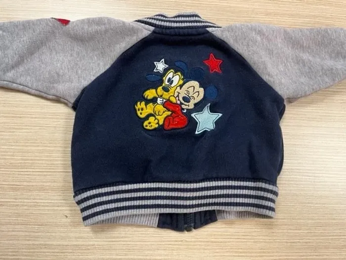 Veste Disneyland bébé 6 mois - photo numéro 2