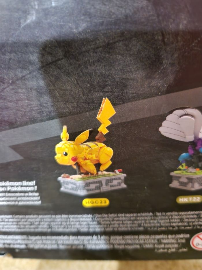 Pokémon Dracofeu en mouvement - photo numéro 3