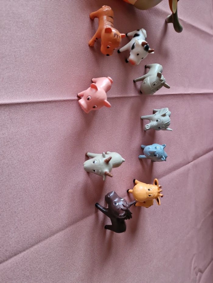 Mélange d animaux - photo numéro 2