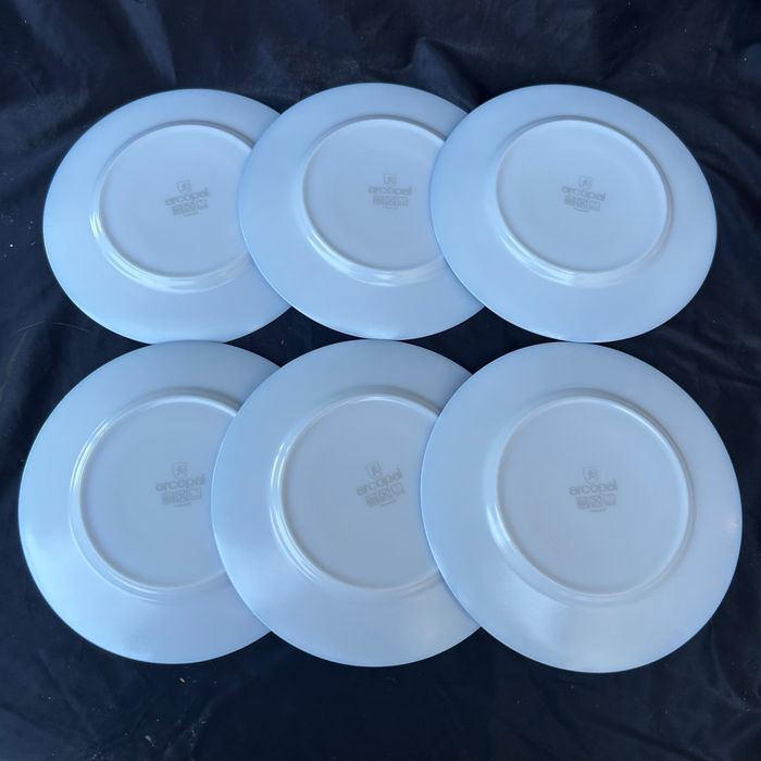 6 assiettes à dessert Arcopal Primeur Marc Palluy - photo numéro 4