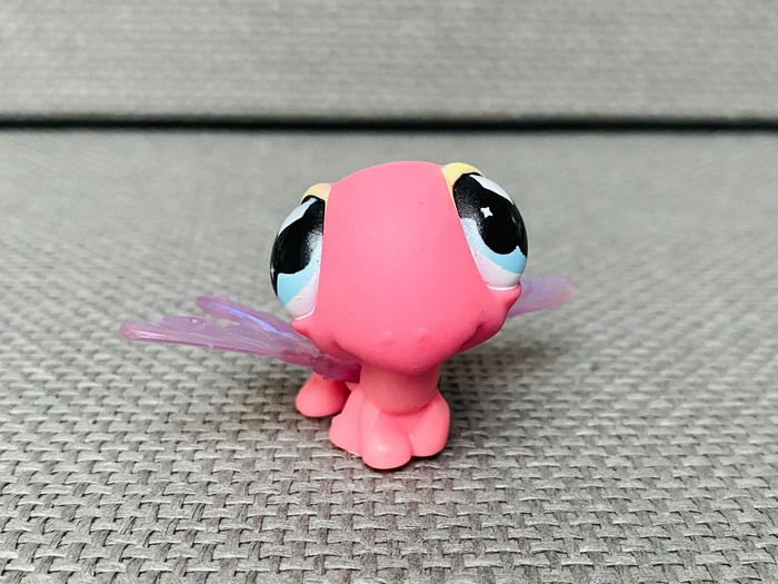 Petshop Libellule - 2€ l’unité - photo numéro 5