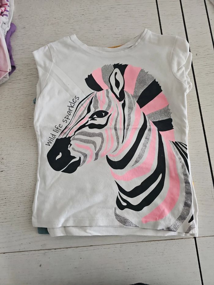 Lot tee shirts manches longues 5 ans - photo numéro 13