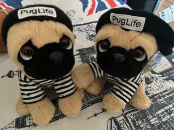Lot 2 chiens pug Life