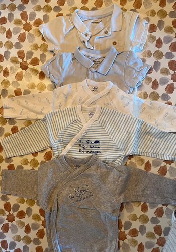 Lot de 5 bodies 6 mois