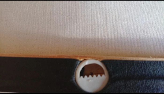 Cadre fleurs - photo numéro 7