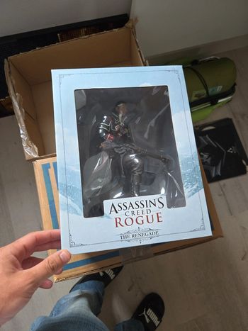 Figurine assassin creed rogue