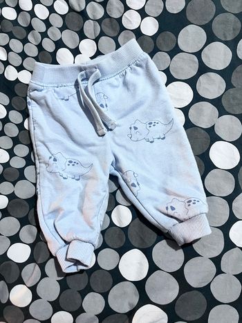 Bas jogging dinosaure