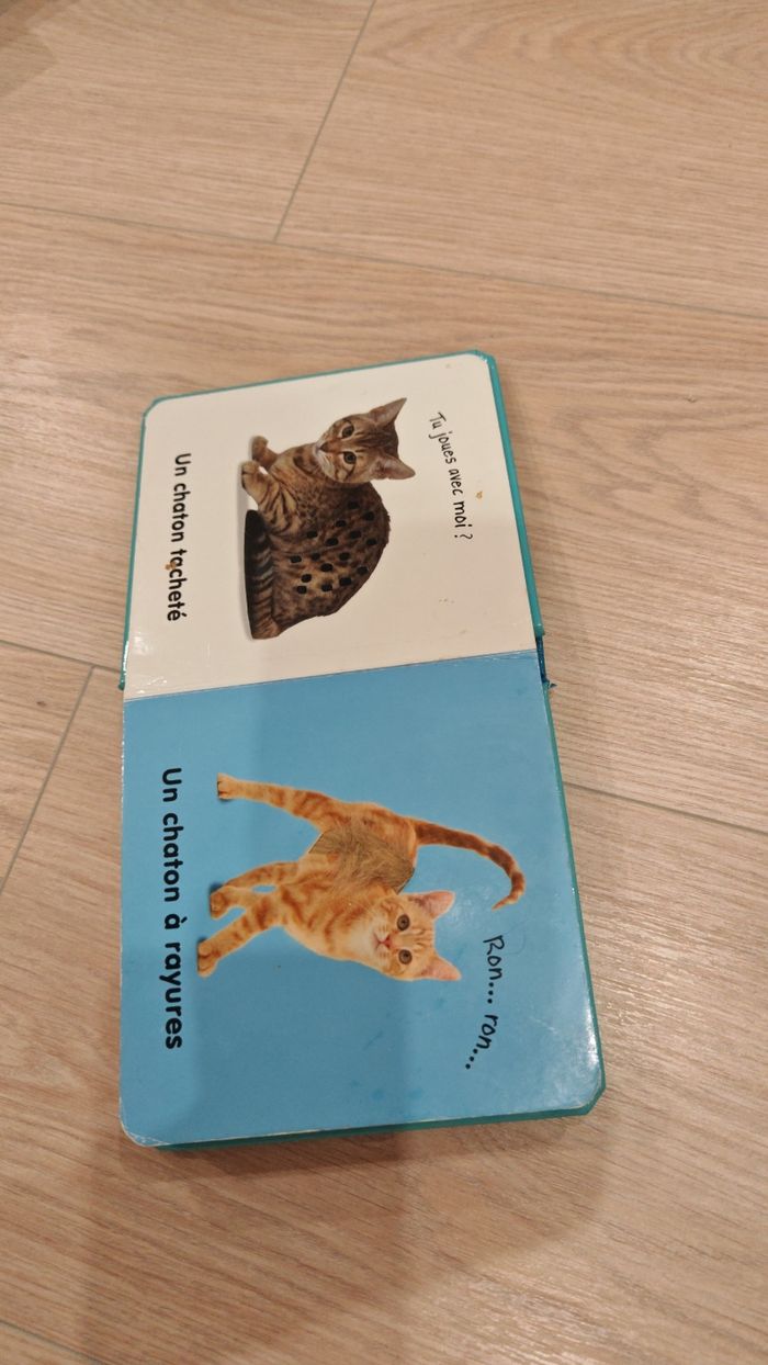 Livre Les chatons à toucher - photo numéro 2