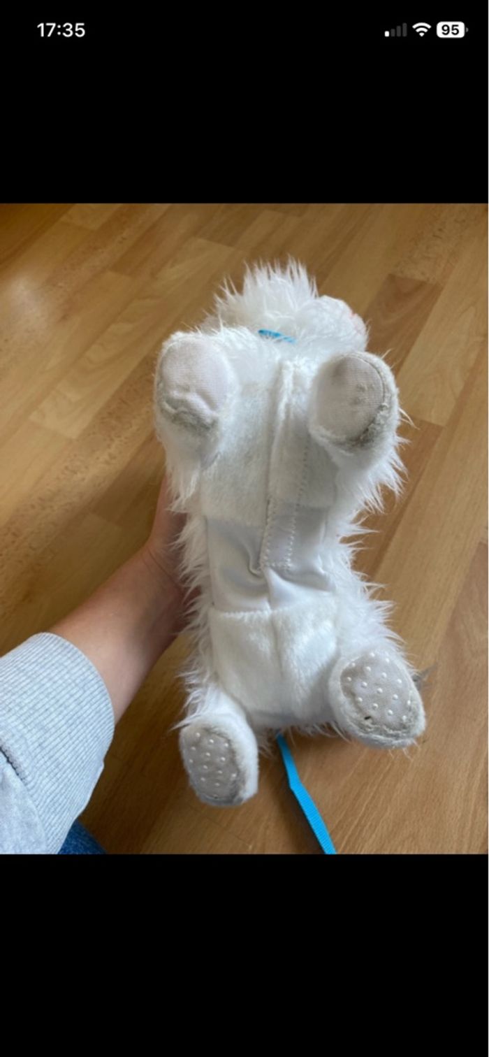 Chat a promener - photo numéro 5