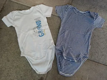 Lot de 2 bodies manches courtes