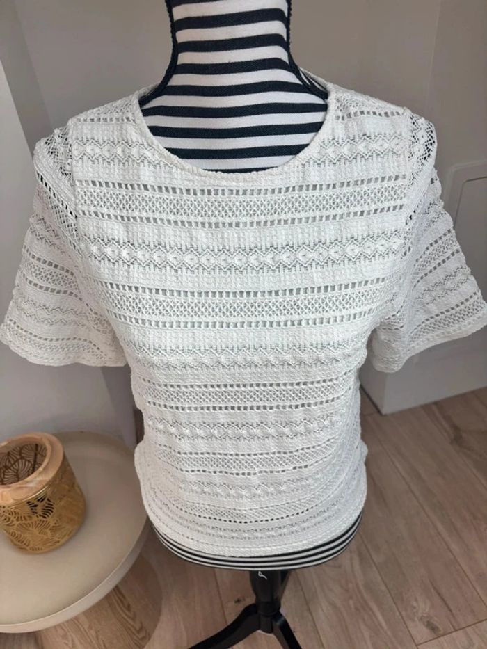 T-shirt dentelle TS - photo numéro 2