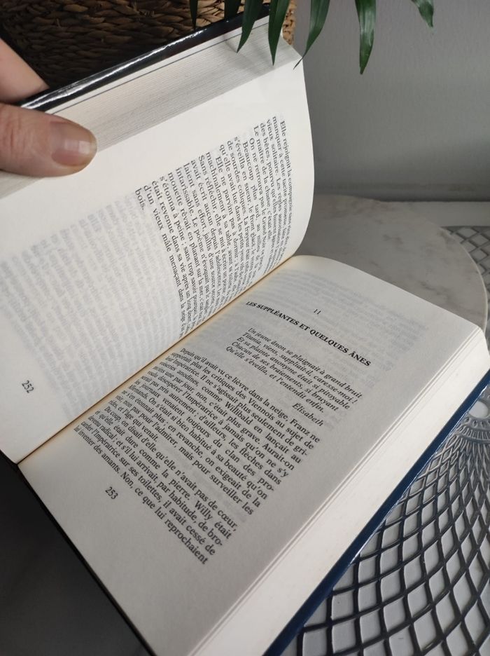 La valse inachevée - photo numéro 4