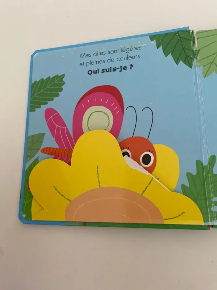 Livre Qui suis-je ? - photo numéro 2