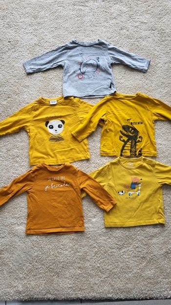 Tee-shirt manches longues 9mois