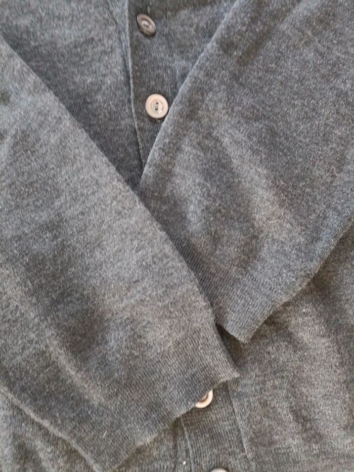 Gilet gris triomph - photo numéro 3