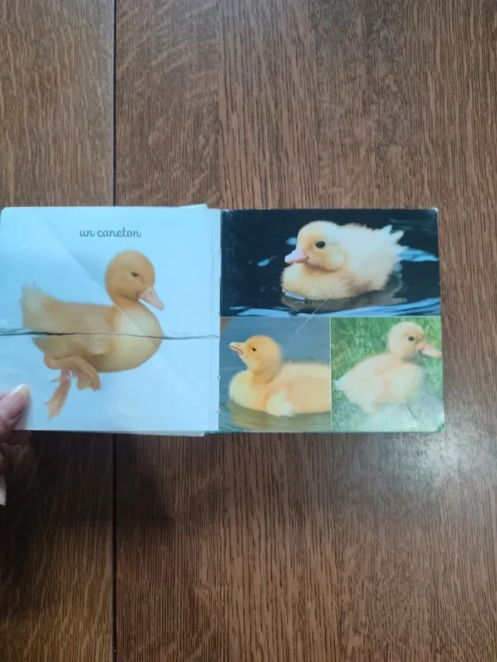 Livre mon Mini imagier des animaux - photo numéro 10