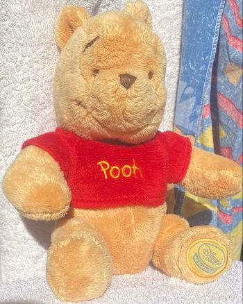 peluche winnie l'ourson disney store exclusive