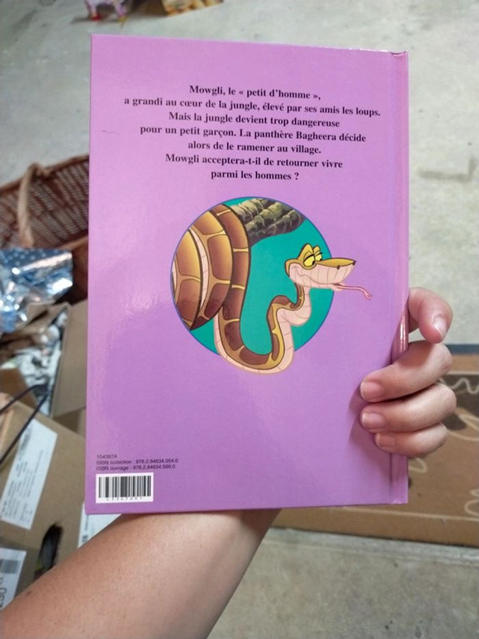 Livre de la jungle disney - photo numéro 2