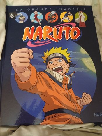 La grande imagerie Naruto