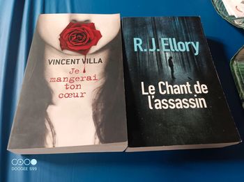 Lot de 2 romans thrillers