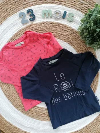 Lot de deux tee-shirts manches longues - Mes petits cailloux - 23 mois