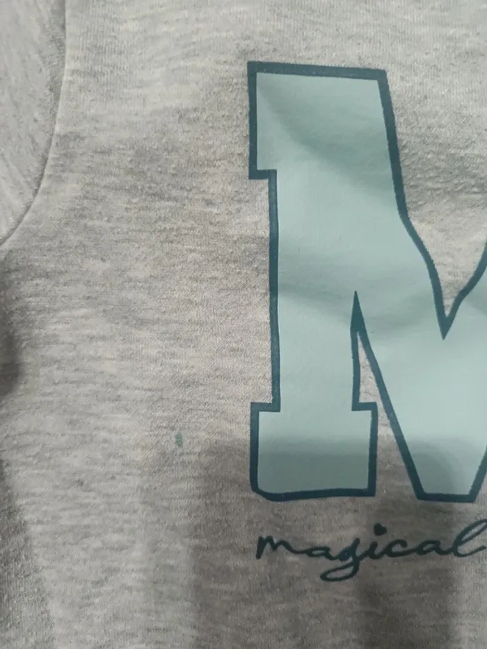 Lot sweat - photo numéro 2