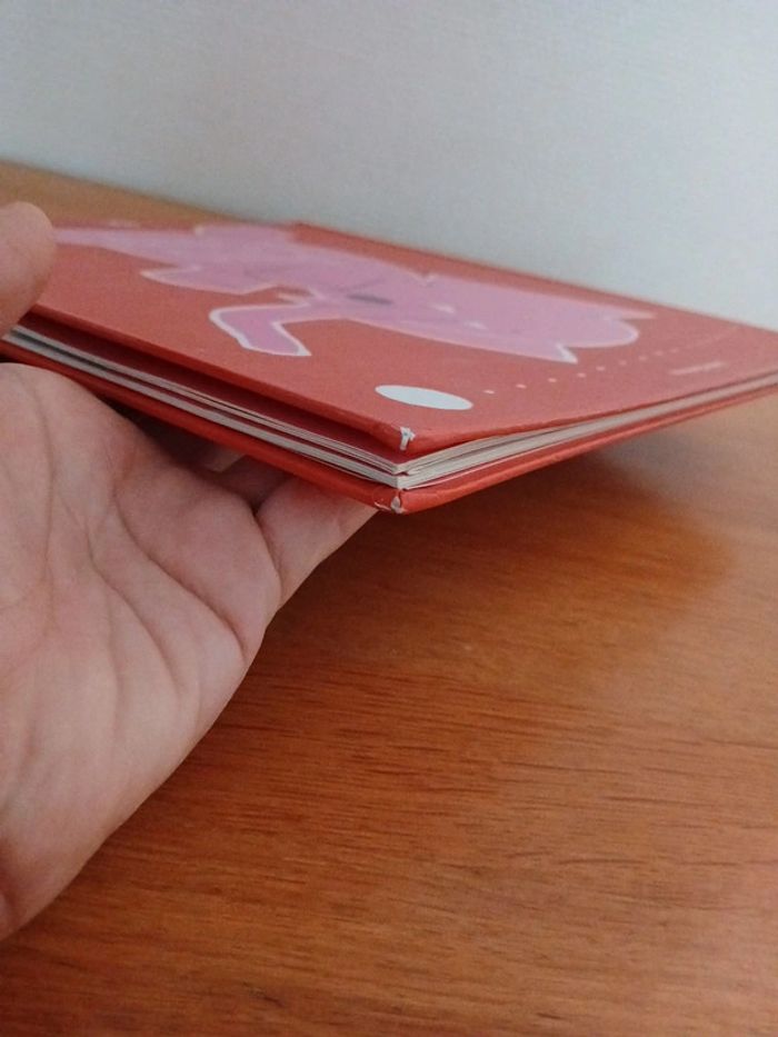 Ping pong - photo numéro 9