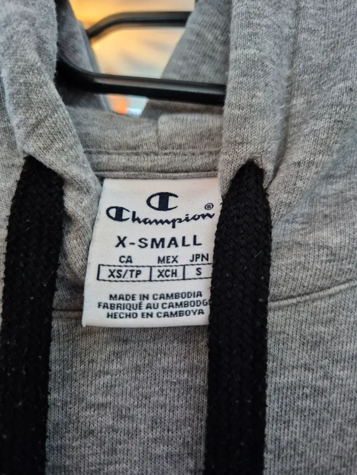 Sweat à capuche gris Champion - photo numéro 3