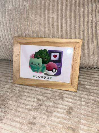 Cadre Pokémon Bulbizarre 