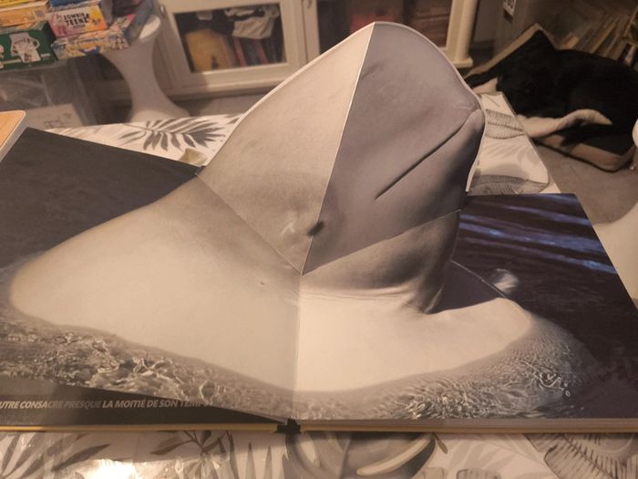 Album pop UP geants des mers - photo numéro 4