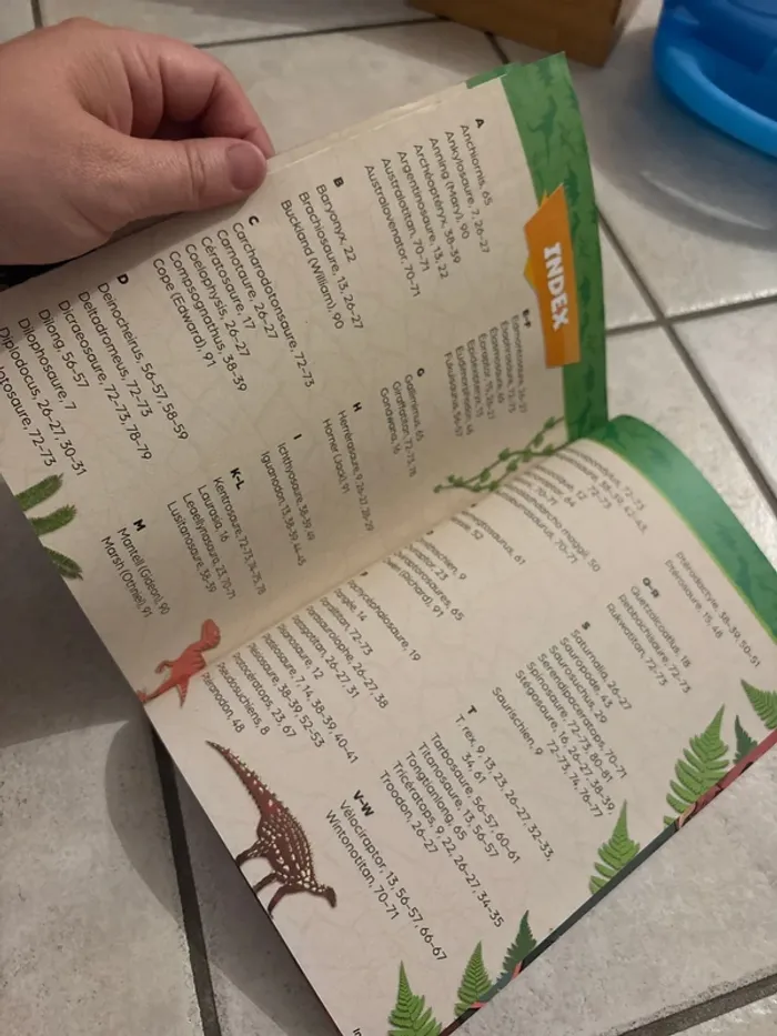 Livres infos activités dinosaures - photo numéro 10