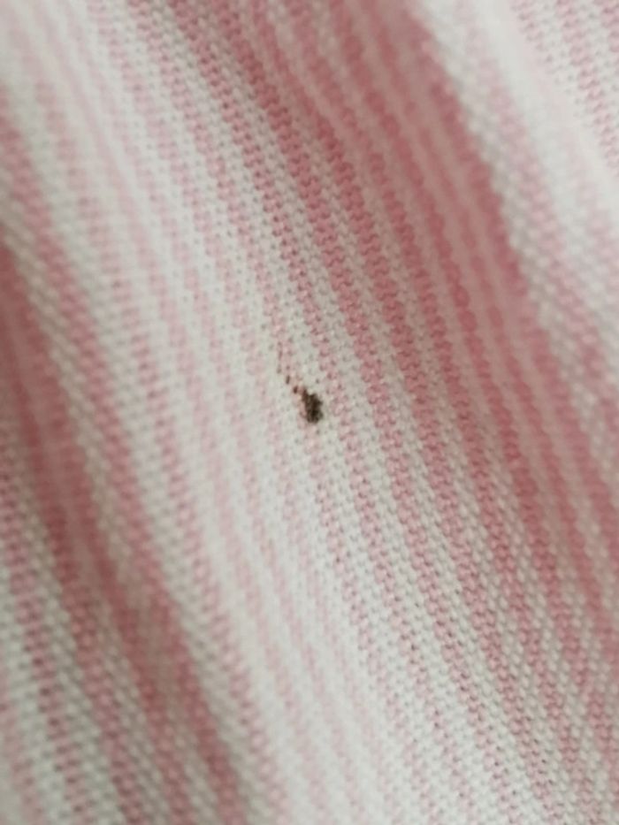 Robe rose dragée Jacadi 12m - photo numéro 9