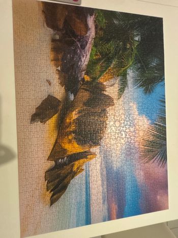 Puzzle 1000 pièces
