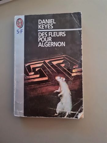 Les fleurs de algernon