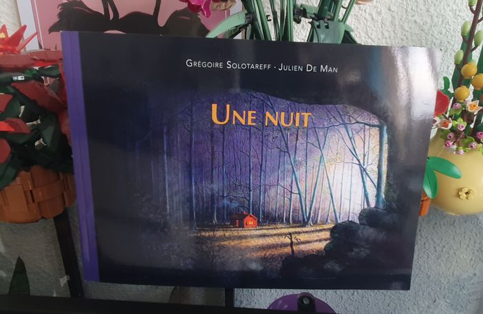 Livre enfant "Une nuit"