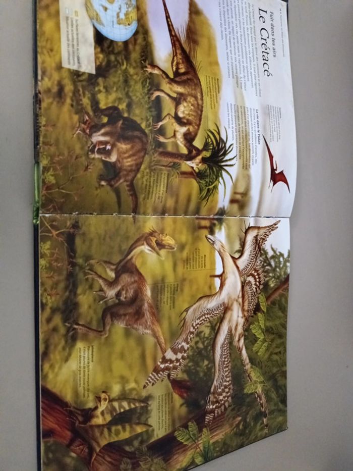Les dinosaures à la loupe édition France loisirs - photo numéro 8