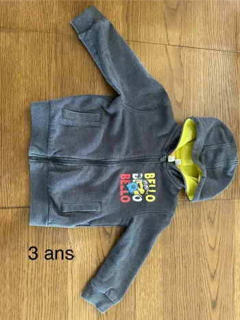 Vestes