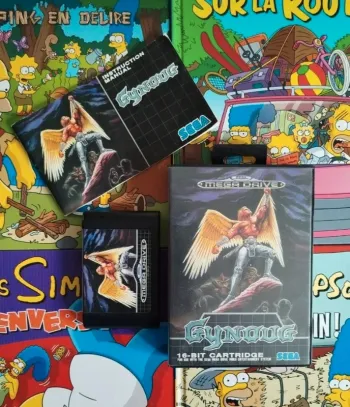 Gynoug Megadrive sega complet