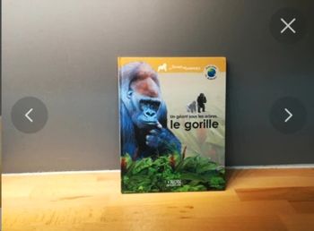 Livre un géant sous les arbres, le gorille