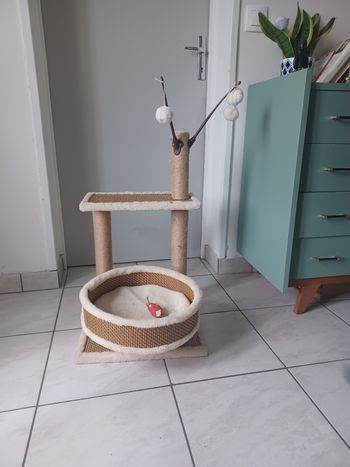 Arbre à chat neuf