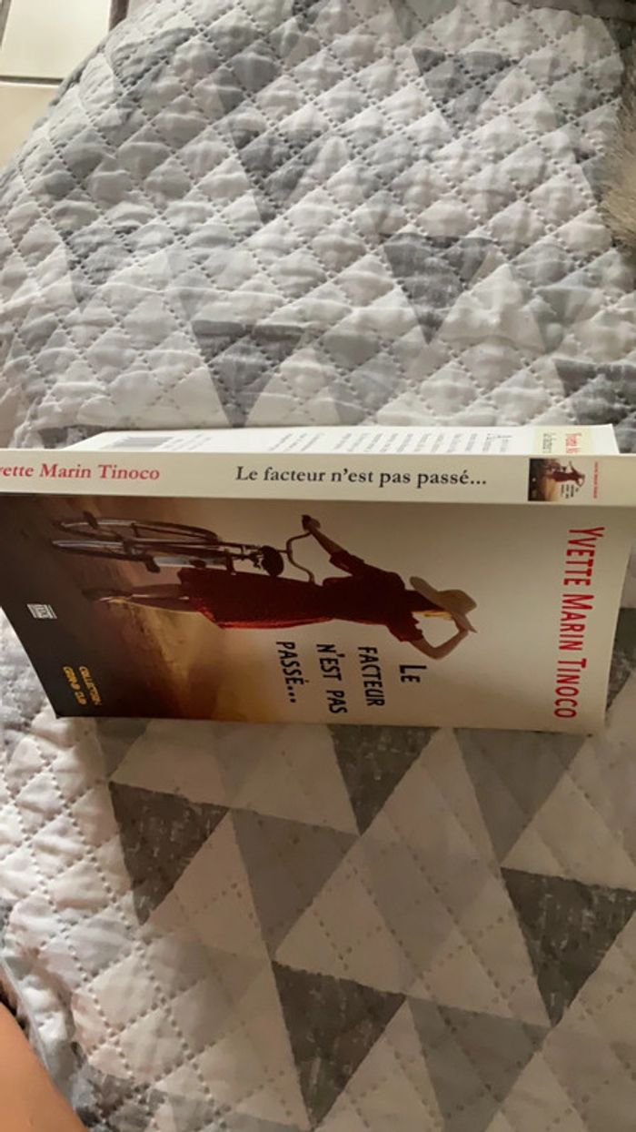 #le facteur n’est pas passé Yvette Marin Tinoco. T - photo numéro 4