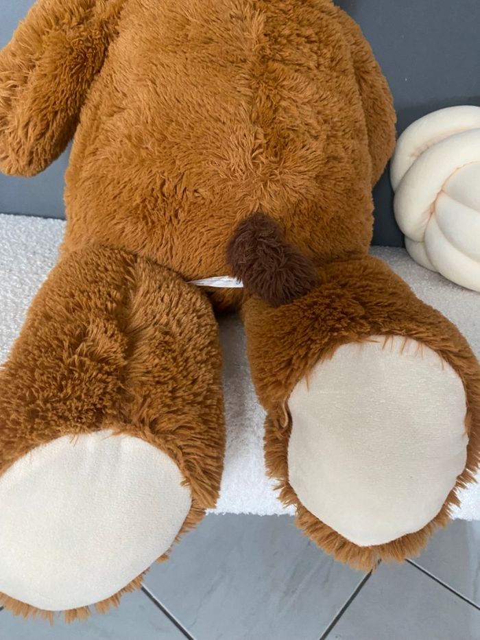 Nounours - photo numéro 5