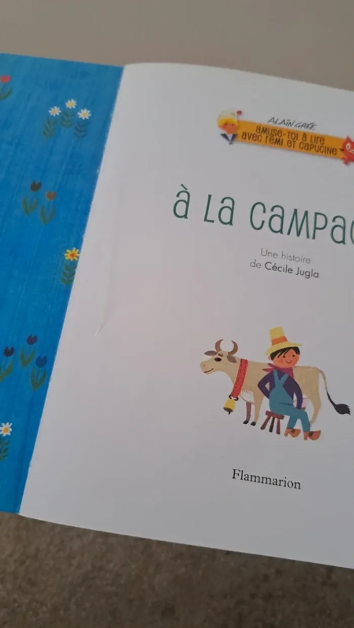 Livre "à la campagne" - photo numéro 4