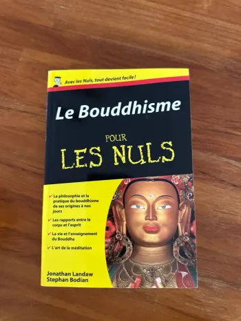 Livre le bouddhisme pour les nuls