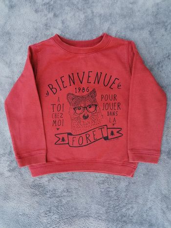 Sweat DPAM - 3 ans - Renard rouille
