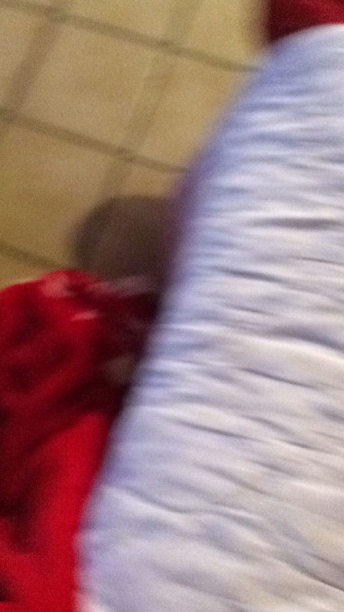 #au nom de Dieu par David A. Yallop - photo numéro 2