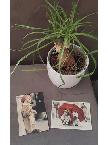 Lot de 2 cartes postales noir et blanc et couleurs fillette