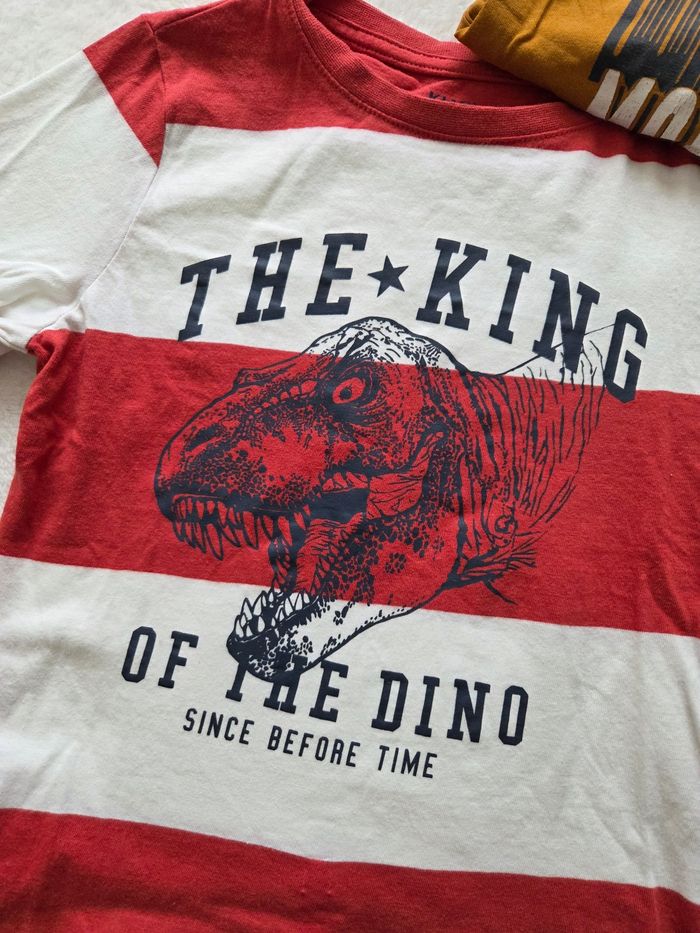 T-shirts dinosaures - photo numéro 2