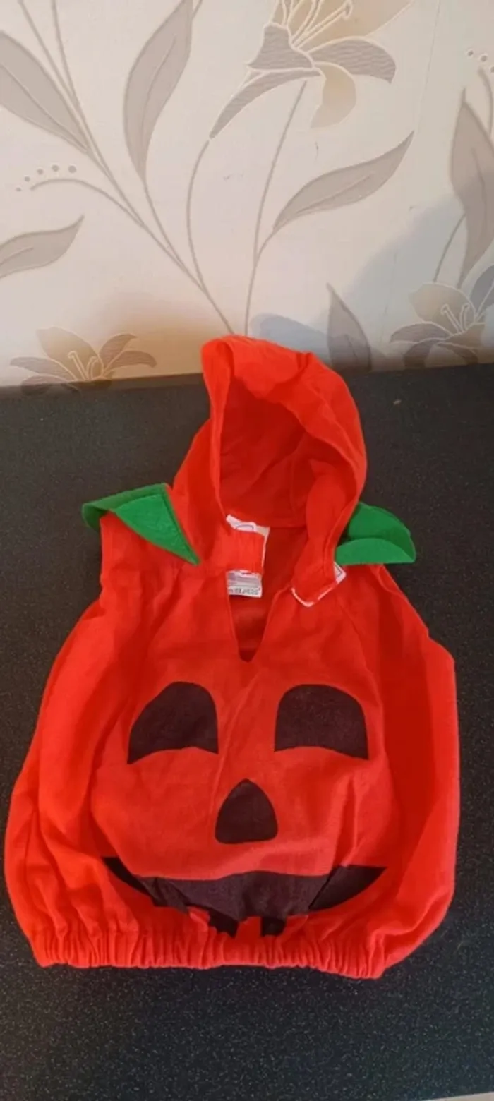 Costume citrouille - photo numéro 3